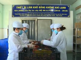 Khu sơ chế nho của Công ty sản xuất và thương mại nông sản Thái Thuận.
