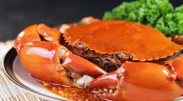 Bước chân đi du lịch nhất dịnh phải thử mấy món ăn ngon Cà Mau này ca-mau 1