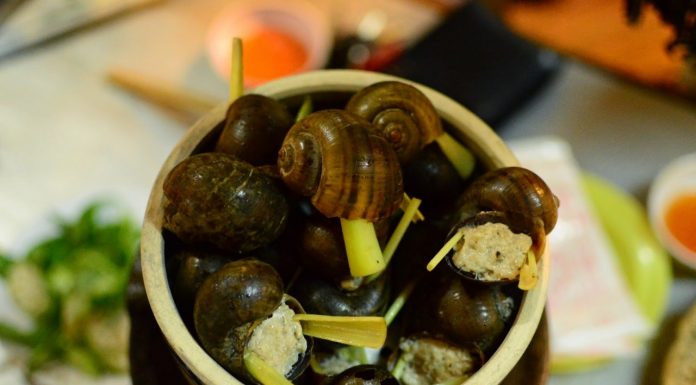 Ốc bươu nhồi thịt mẹ làm ngon như nhà hàng oc-buou-nhoi-thit-me-lam-ngon-nhu-nha-hang5