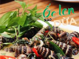 oc len xao dua
