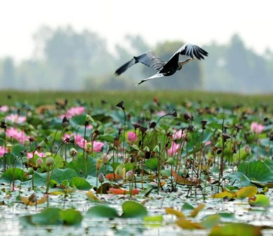dac-san-Miền-Tây