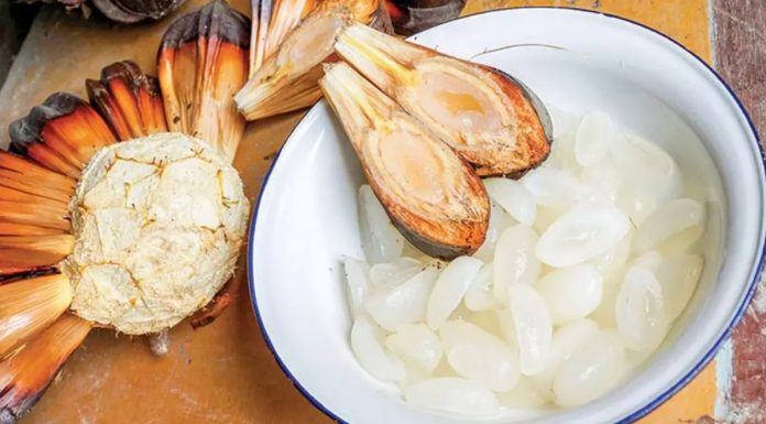 dua-nuoc-mien-tay-1