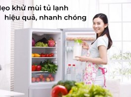 khu-mui-tu-lanh 1