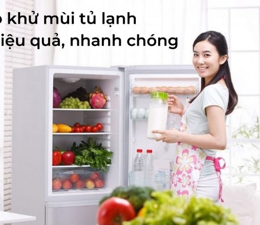 khu-mui-tu-lanh 1