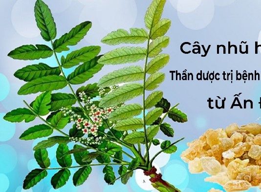 cach-dieu-tri-benh-xuong-khop