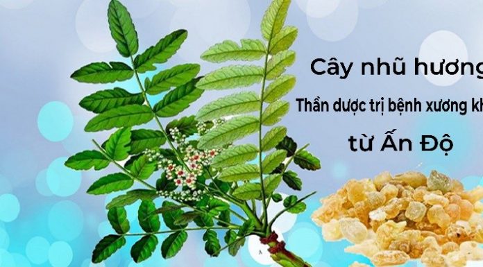 cach-dieu-tri-benh-xuong-khop