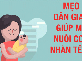 meo-nuoi-con1