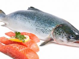 mua-ca-ho-o-dau-tuoi-ngon 1