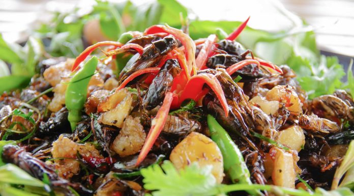 Loại côn trùng bé tí, đắt hơn thịt, cá thành đặc sản ở An Giang