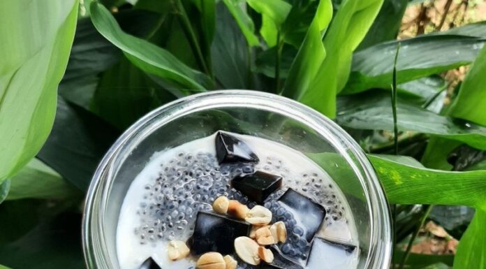 2 Cách làm sương sáo nước cốt dừa thơm ngon thanh mát ngay tại nhà