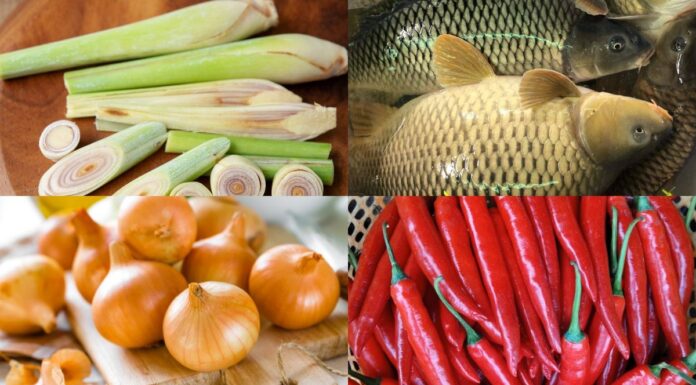 Cách xào cá chép giòn với hành tây đơn giản bằng chảo inox chống dính