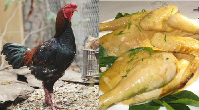 Đặc sản Bắc Ninh: Top 15 đặc sản ngon nên thử và mua làm quà