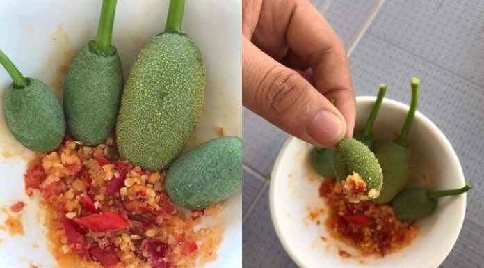 Món quà vặt của tuổi thơ vừa chua vừa chát nhưng ăn đến đâu hạnh phúc đến đó