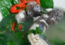 Cách làm món cá bớp nấu lá lốt chua thanh thơm ngon, đậm đà cực hao cơm