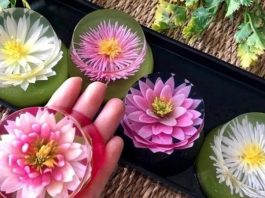 Tổng hợp 3 cách làm thạch 3D đẹp mắt, đơn giản tại nhà