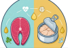 Cá ngừ tươi hay đóng hộp tốt cho sức khỏe hơn?