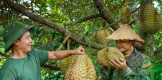 Sầu riêng nấu canh sườn non và chiên bột